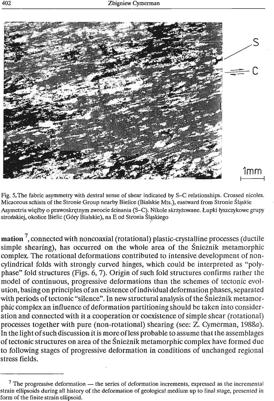 Eupki iyszczykowe grupy strodskiej, okolice Bielic (G6ry Bialskie), na E od Stronia Slqskiego mation 7, connected with noncoaxial (rotational) plastic-crystalline processes (ductile simple shearing),