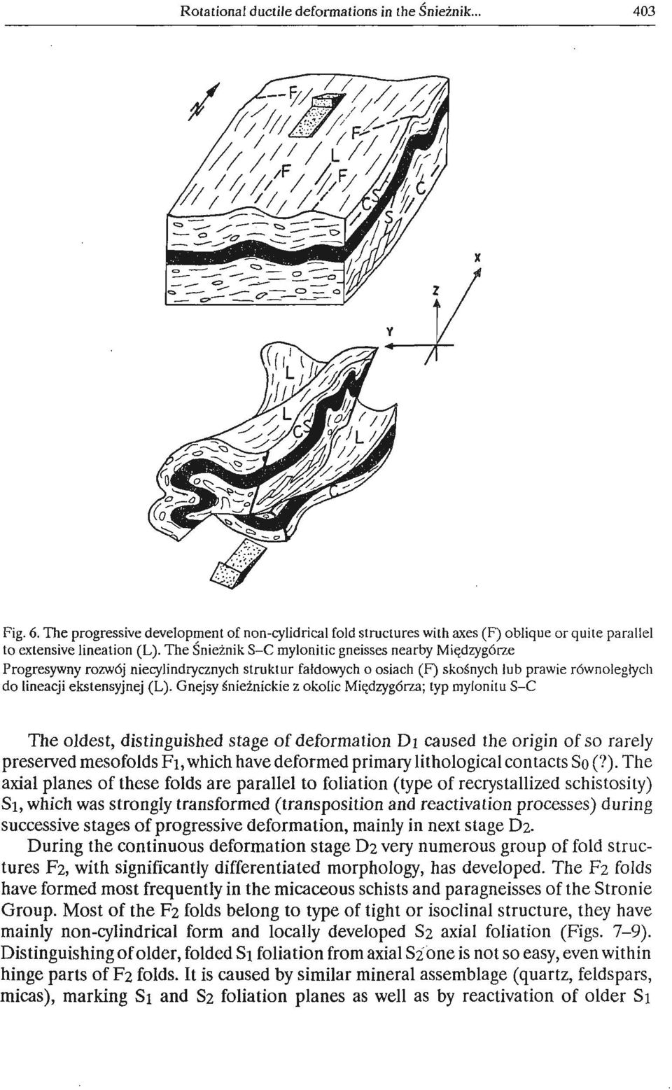 Gnejsy Snieinickie z okolic Miqdzyg6tza; typ mylonitu S-C The oldest, distinguished stage of deformation Dl caused the origin of so rarely preserved mesofolds F1, which have deformed primary