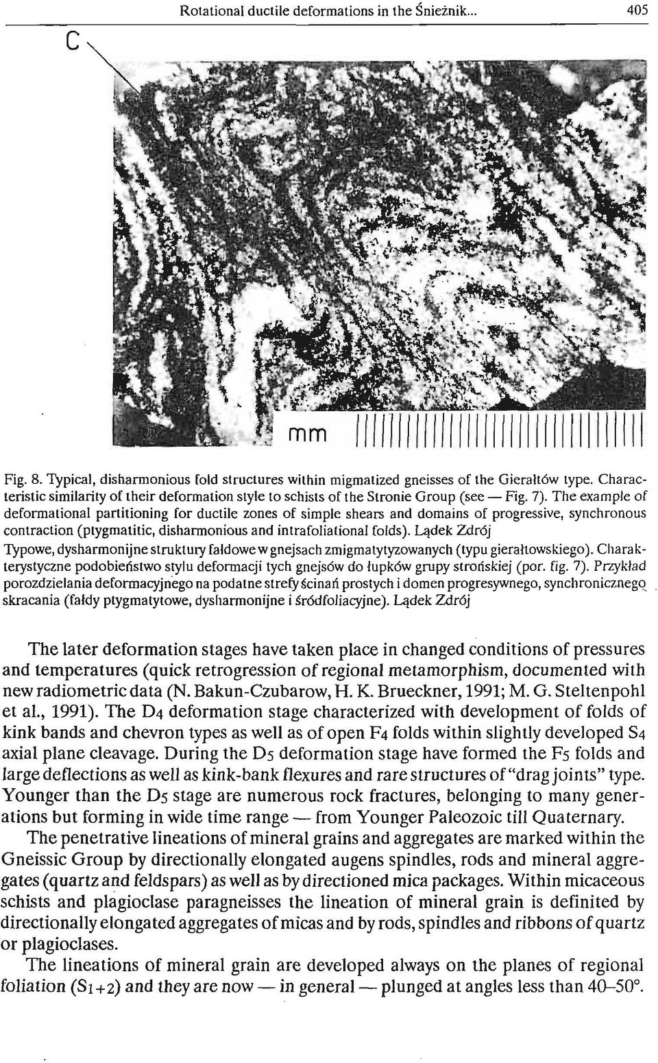 The example of deformational partitioning for ductile zones of simple shears and domains of progressive, synchronous contraction (ptygmatitic, disharmonious and intrafoliational folds).