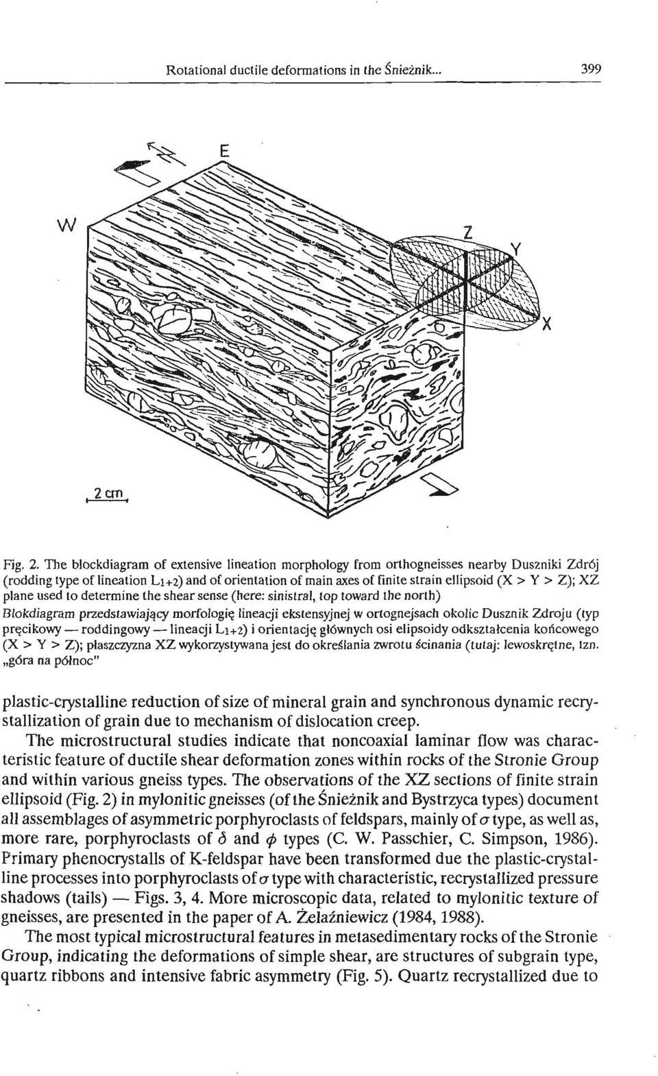plane used to determine the shear sense (here: sinistral, top toward the north) Blokdiagram przedstawiajqcy morfologiq lineacji ekstensyjnej w ortognejsach okolic Dusznik Zdroju (typ prqcikowy -