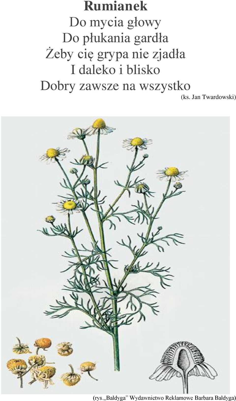 Dobry zawsze na wszystko (ks.