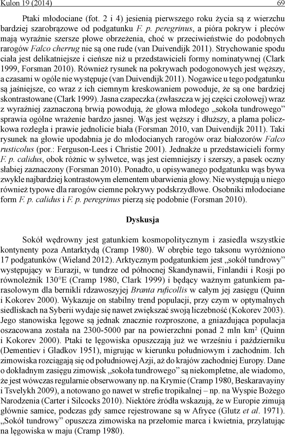 dgatunku F. p. peregrinus, a pióra pokryw i pleców mają wyraźnie szersze płowe obrzeżenia, choć w przeciwieństwie do podobnych rarogów Falco cherrug nie są one rude (van Duivendijk 2011).
