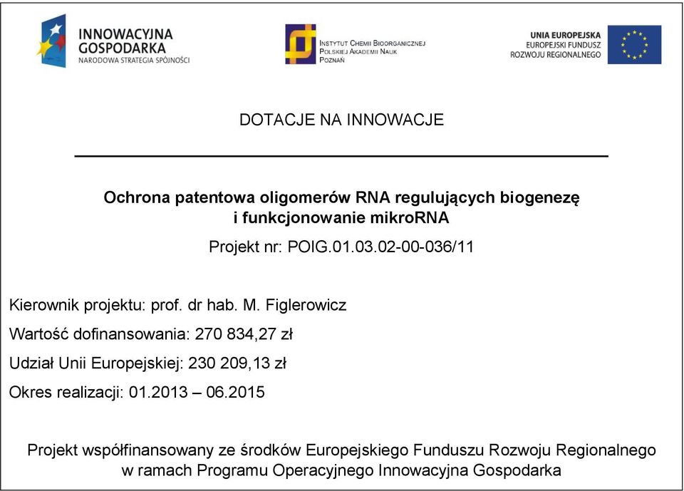 02-00-036/11 Kierownik projektu: prof. dr hab. M.