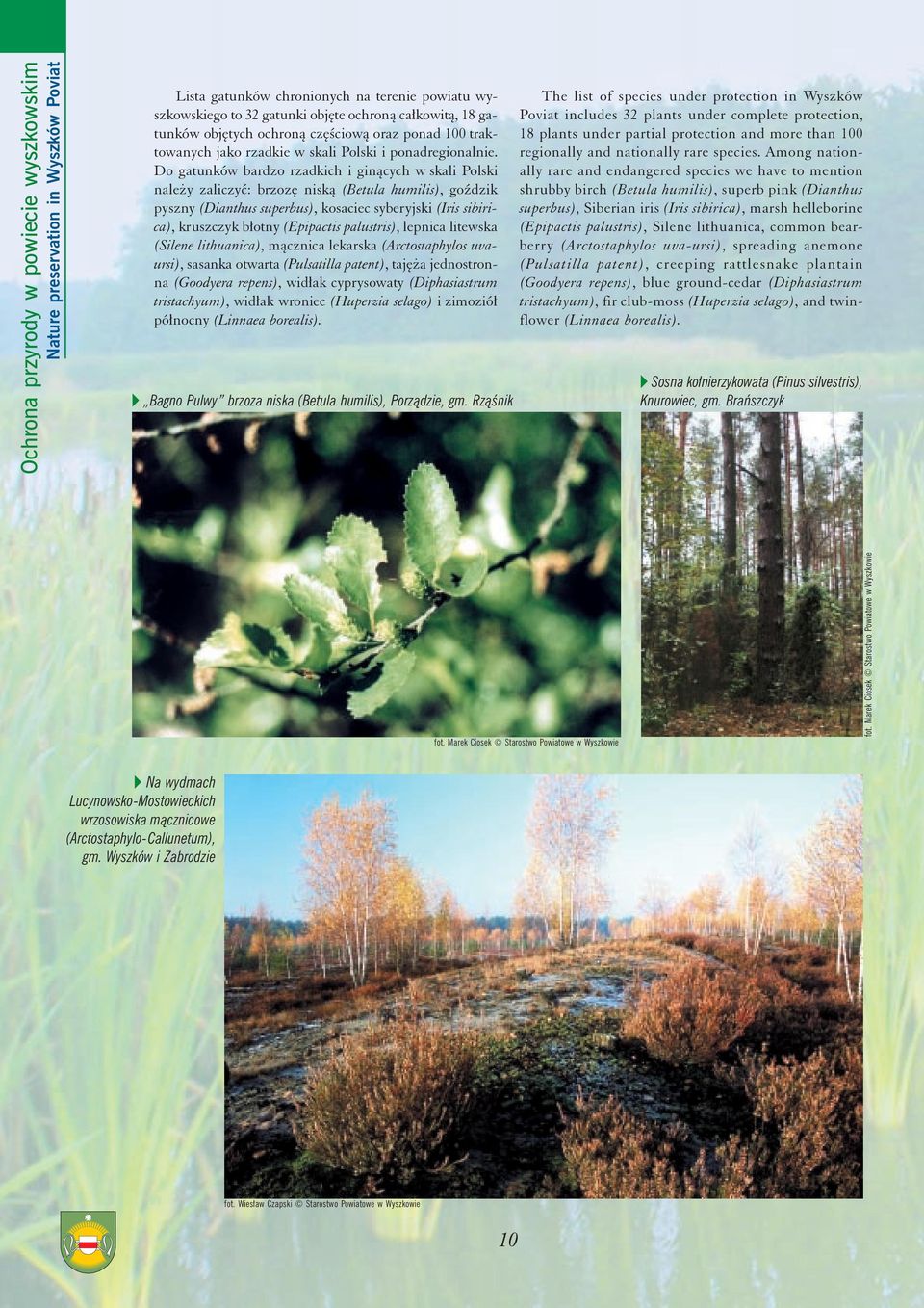 Do gatunków bardzo rzadkich i gin¹cych w skali Polski nale y zaliczyæ: brzozê nisk¹ (Betula humilis), goÿdzik pyszny (Dianthus superbus), kosaciec syberyjski (Iris sibirica), kruszczyk b³otny