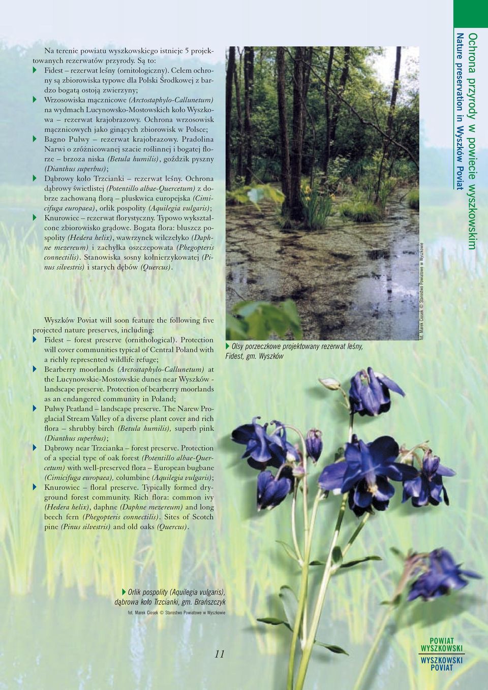 krajobrazowy. Ochrona wrzosowisk m¹cznicowych jako gin¹cych zbiorowisk w Polsce; v Bagno Pulwy rezerwat krajobrazowy.