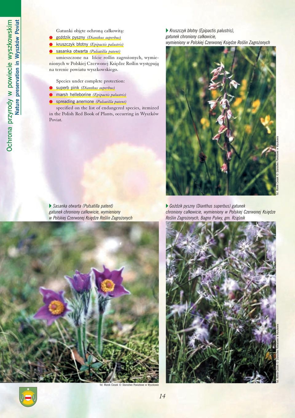 w w Species under complete protection: superb pink (Dianthus superbus) marsh helleborine (Epipactis palustris) w spreading anemone (Pulsatilla patent) specified on the list of endangered species,