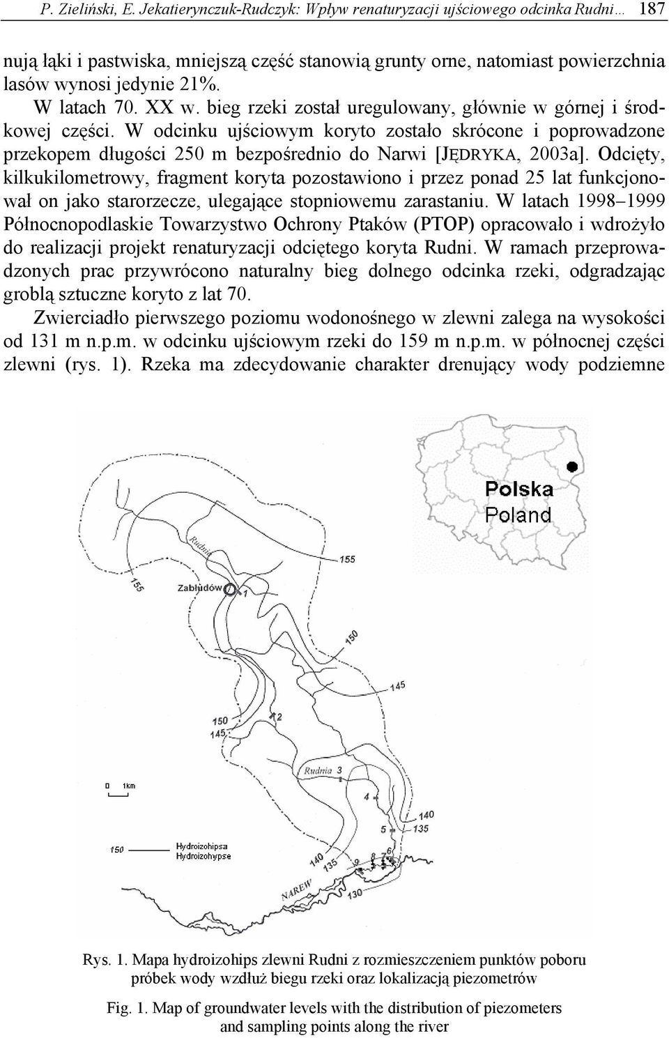 W odcinku ujściowym koryto zostało skrócone i poprowadzone przekopem długości 250 m bezpośrednio do Narwi [JĘDRYKA, 2003a].