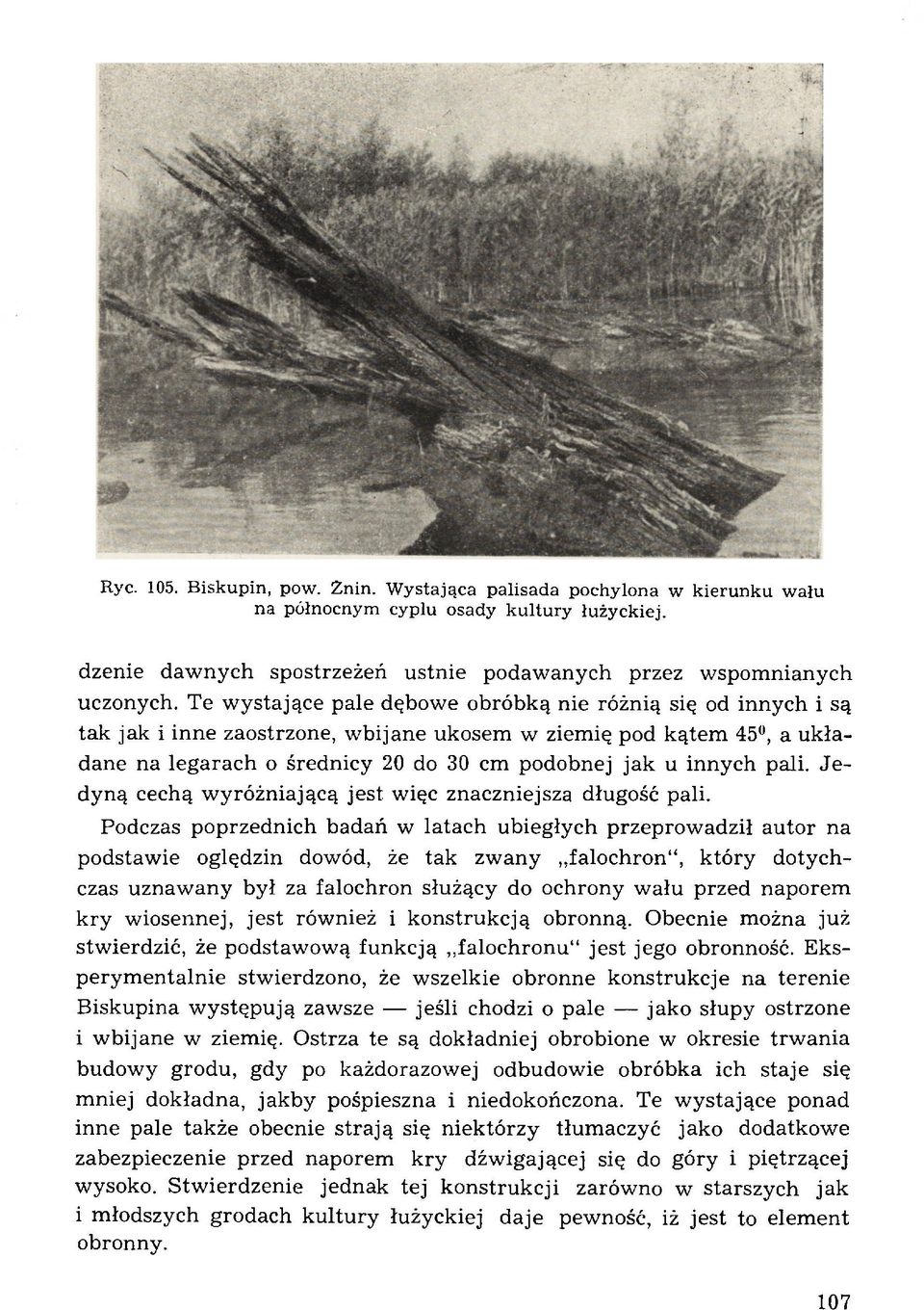 pali. J e dyną cechą w yróżniającą jest więc znaczniejsza długość pali.