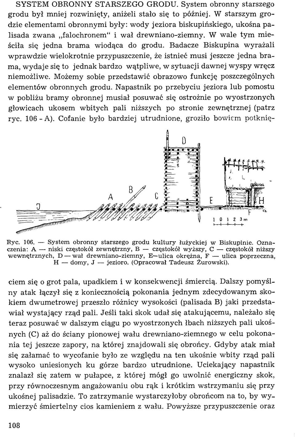 Badacze Biskupina w yrażali w praw dzie wielokrotnie przypuszczenie, że istnieć musi jeszcze jedna brama, w ydaje się to jednak bardzo wątpliw e, w sytuacji dawnej wyspy wręcz niemożliwe.