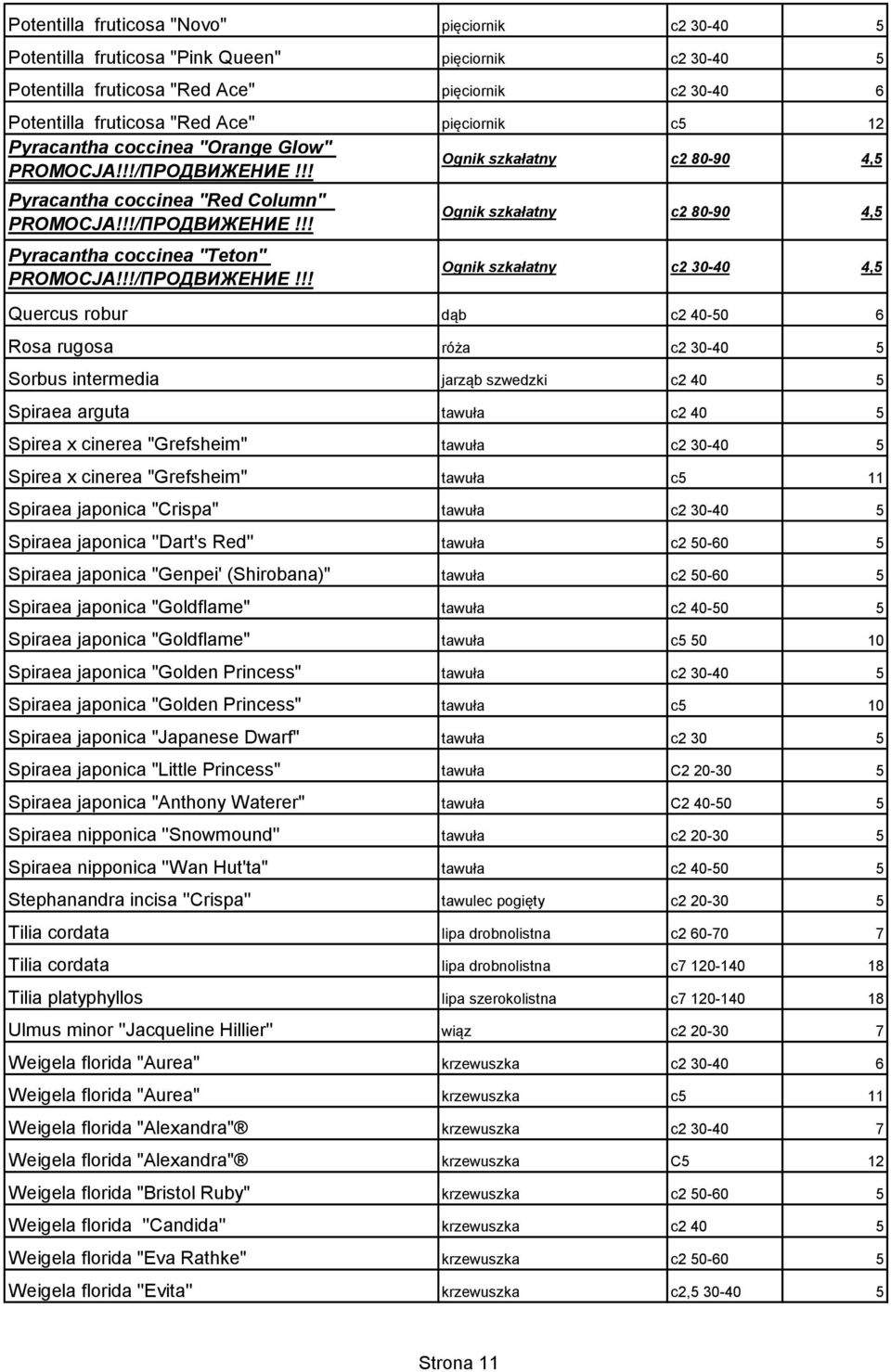 30-40 4,5 Quercus robur dąb c2 40-50 6 Rosa rugosa róża c2 30-40 5 Sorbus intermedia jarząb szwedzki c2 40 5 Spiraea arguta tawuła c2 40 5 Spirea x cinerea "Grefsheim" tawuła c2 30-40 5 Spirea x