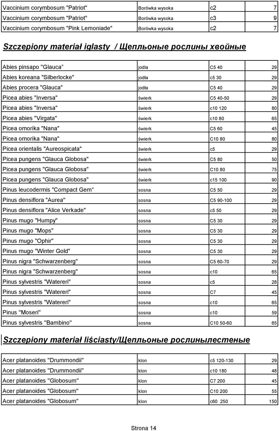 świerk c10 120 80 Picea abies ''Virgata'' świerk c10 80 65 Picea omorika "Nana" świerk C5 60 45 Picea omorika "Nana" świerk C10 80 80 Picea orientalis "Aureospicata" świerk c5 29 Picea pungens