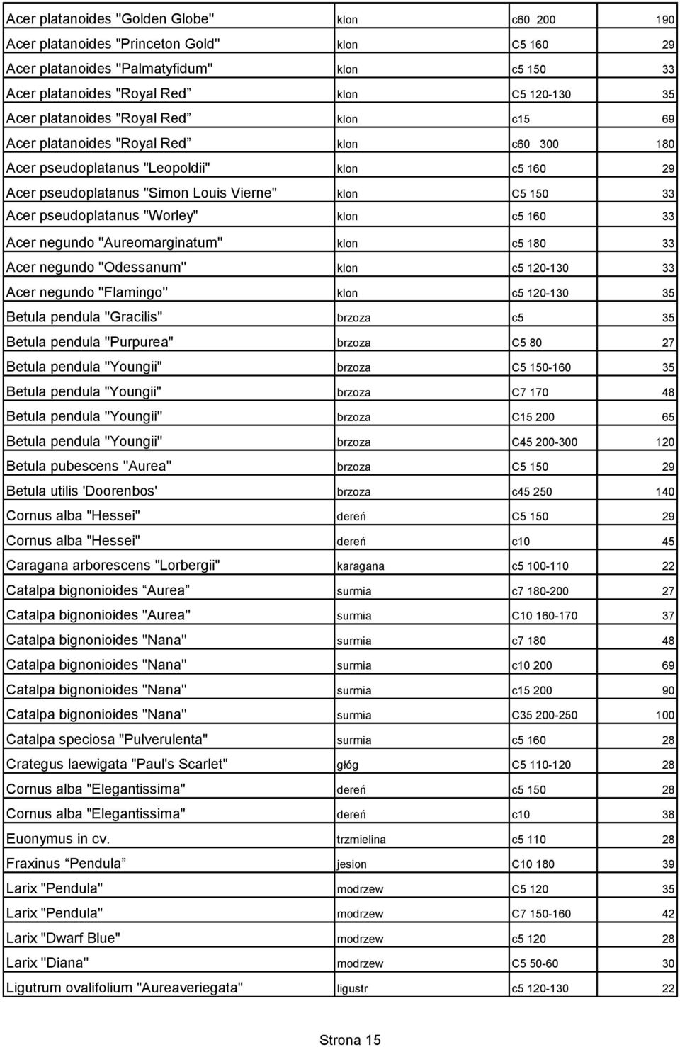 pseudoplatanus "Worley" klon c5 160 33 Acer negundo ''Aureomarginatum'' klon c5 180 33 Acer negundo ''Odessanum'' klon c5 120-130 33 Acer negundo ''Flamingo'' klon c5 120-130 35 Betula pendula