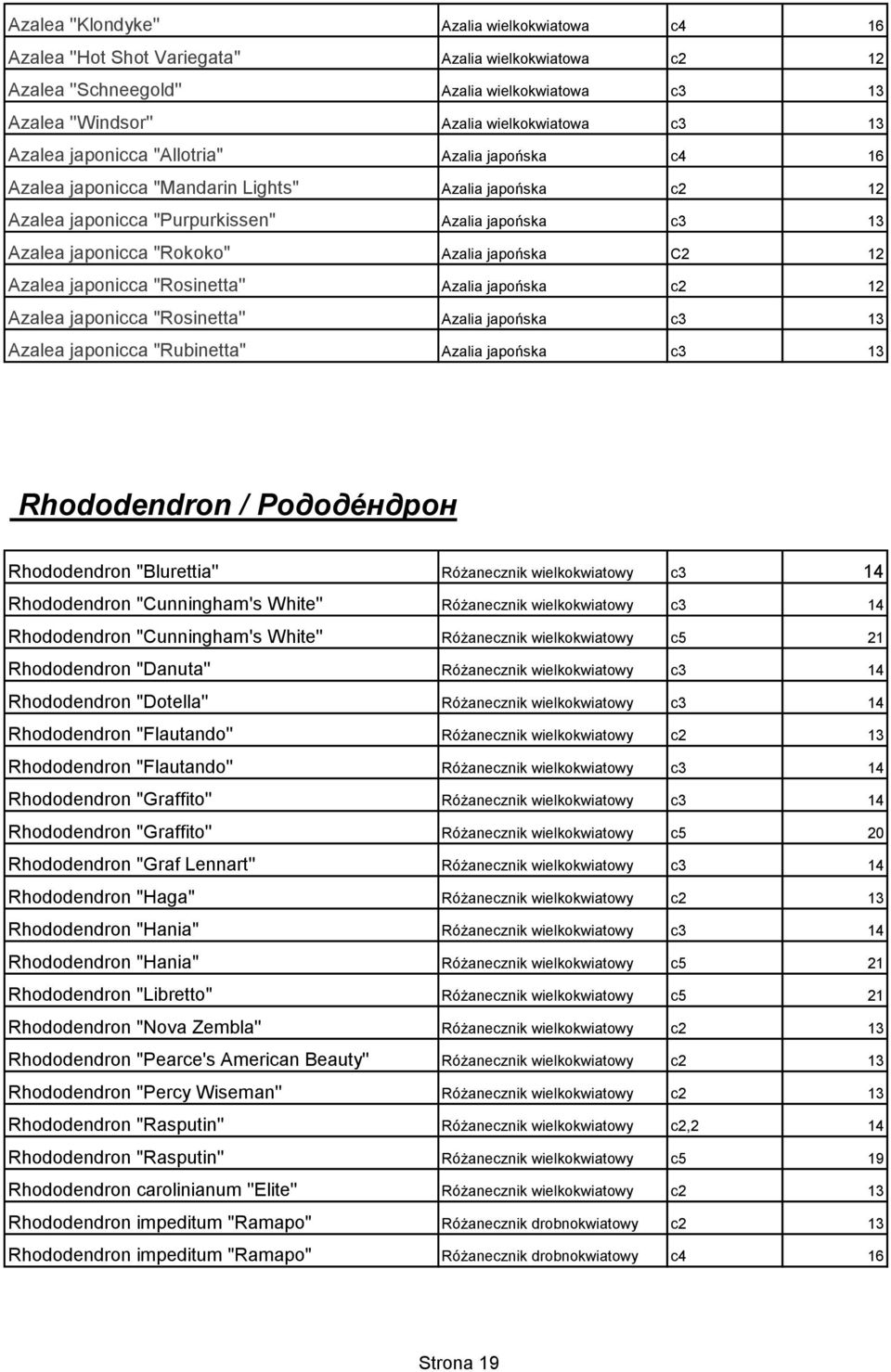 japońska C2 12 Azalea japonicca "Rosinetta'' Azalia japońska c2 12 Azalea japonicca "Rosinetta'' Azalia japońska c3 13 Azalea japonicca "Rubinetta" Azalia japońska c3 13 Rhododendron / Рододéндрон