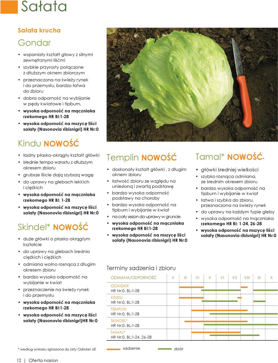 ładny płasko-okrągły kształt główki średnie tempo wzrostu z dłuższym okresem zbioru grubsze liście dają szybszą wagę do uprawy na glebach lekkich i ciężkich wysoka odporność na mączniaka rzekomego HR