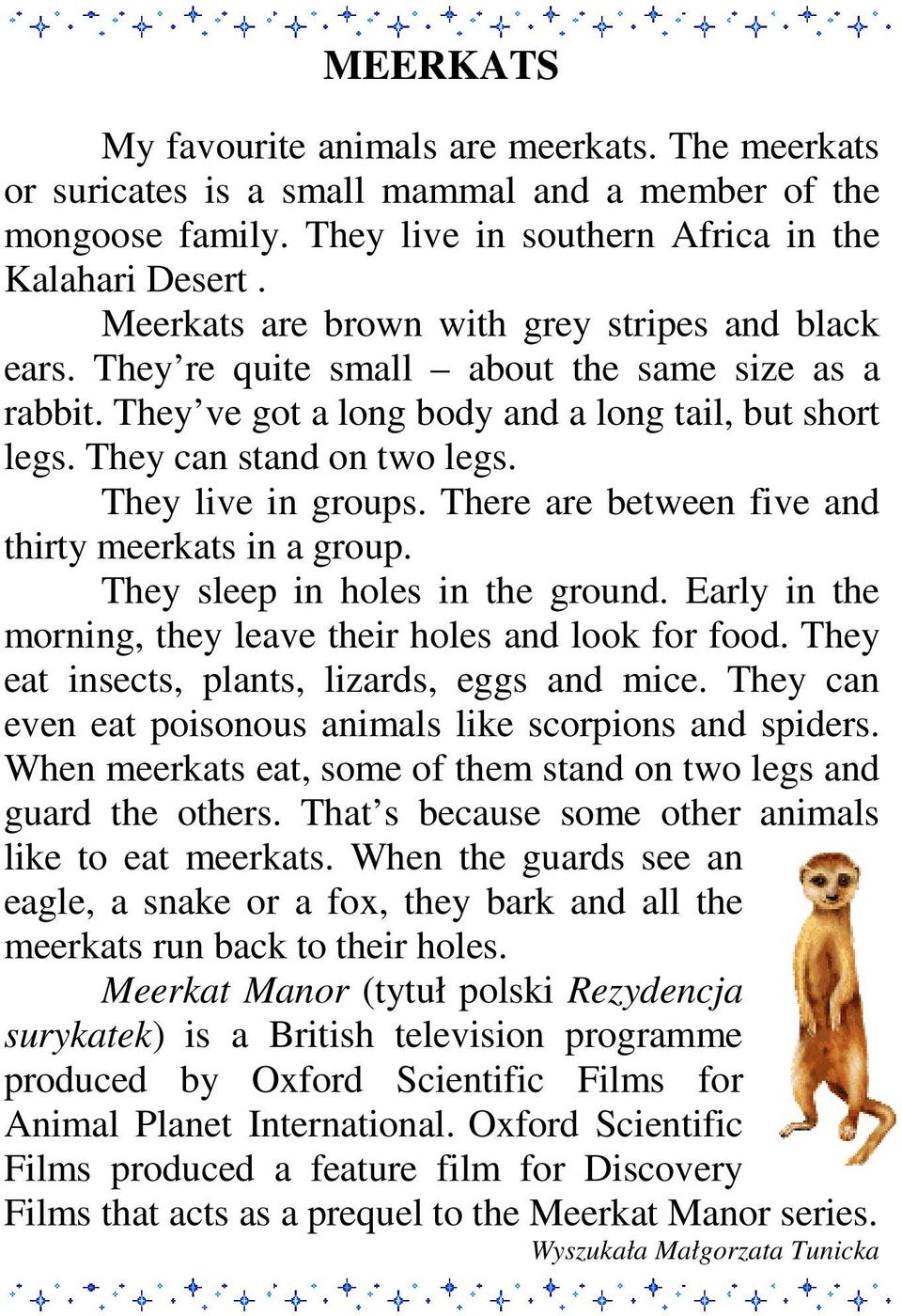 They live in groups. There are between five and thirty meerkats in a group. They sleep in holes in the ground. Early in the morning, they leave their holes and look for food.