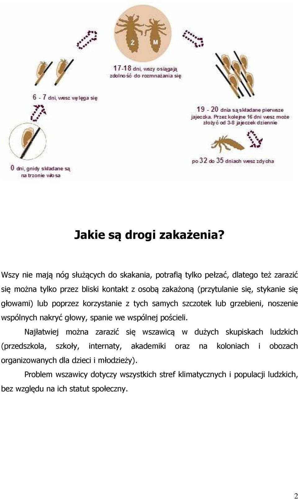 stykanie się głowami) lub poprzez korzystanie z tych samych szczotek lub grzebieni, noszenie wspólnych nakryć głowy, spanie we wspólnej pościeli.