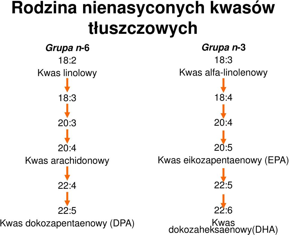 Kwas arachidonowy 22:4 22:5 Kwas dokozapentaenowy (DPA) 18:4