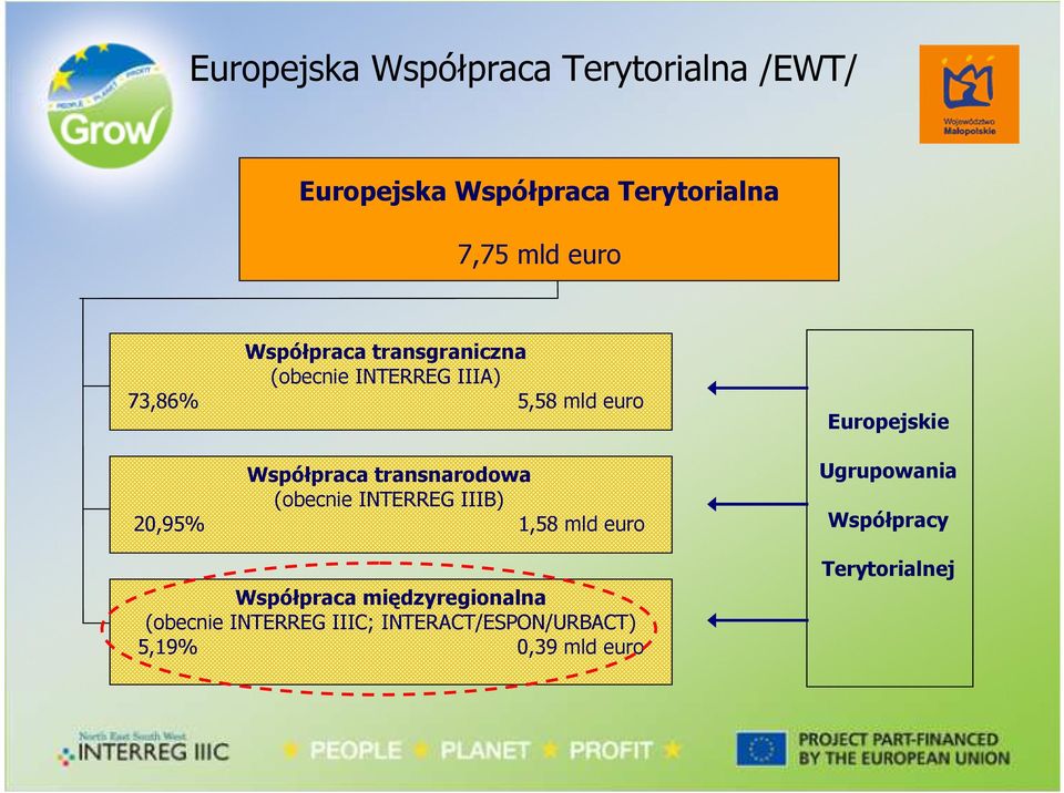 transnarodowa (obecnie INTERREG IIIB) 20,95%,58 mld euro Współpraca międzyregionalna