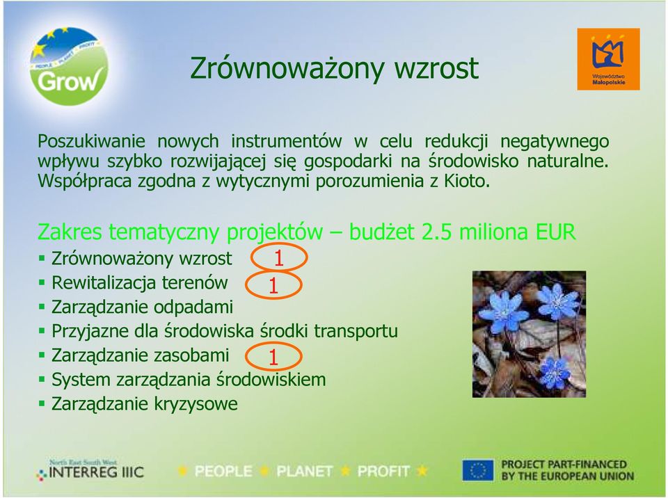 Zakres tematyczny projektów budŝet 2.