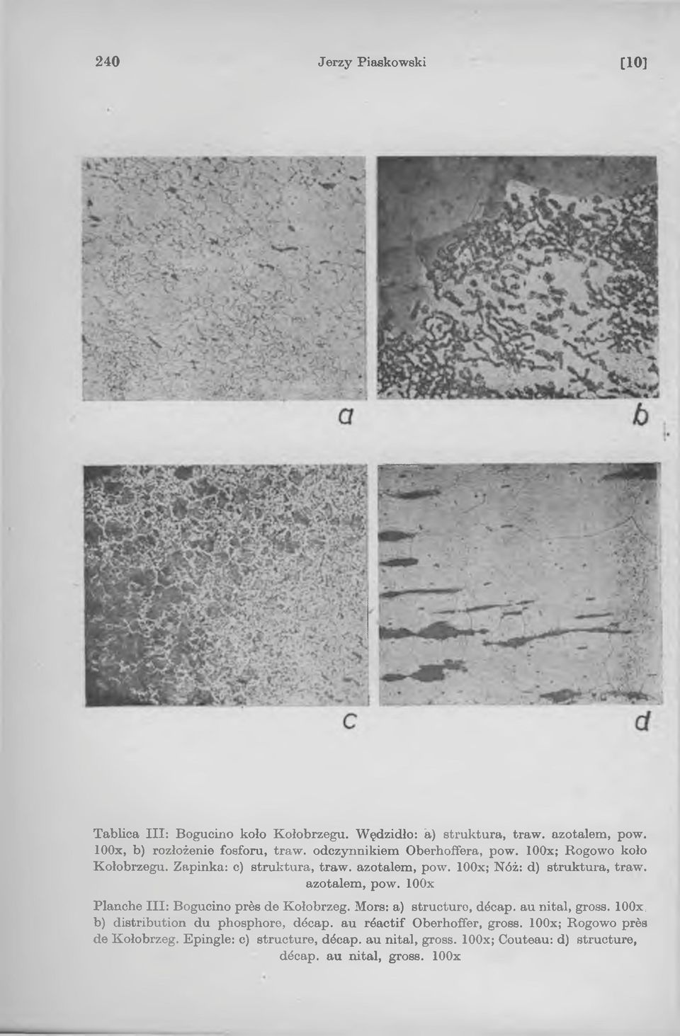 azotalem, pow. 100x Planche III: Bogucino près de Kołobrzeg. Mors: a) structure, décap. au nital, gross.