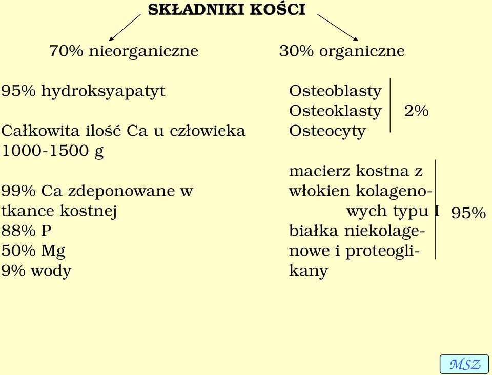 1500 g macierz kostna z 99% Ca zdeponowane w włokien kolagenotkance