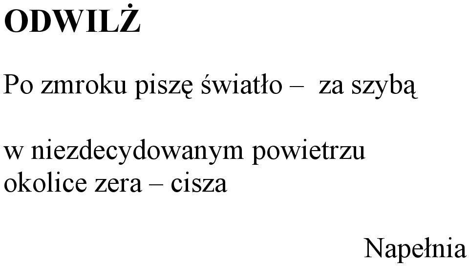 niezdecydowanym
