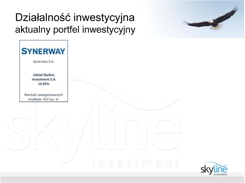 inwestycyjny Synerway S.
