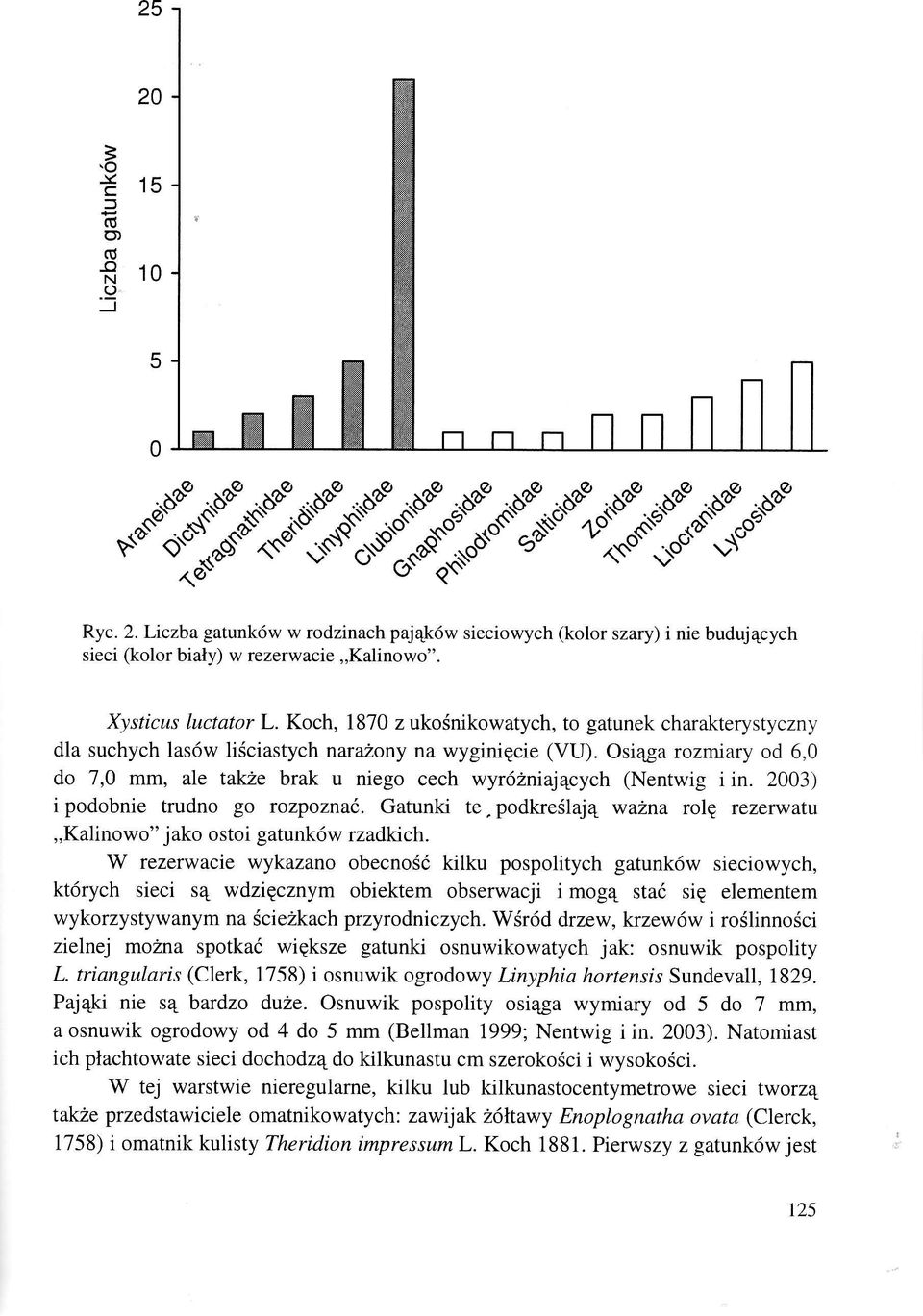 Osi4ga rozmiary od 6,0 do 7,0 mm, ale takze brak u niego cech wyr62niaj4cych (Nentwig i in. 2003) i podobnie trudno go rozpozna6.