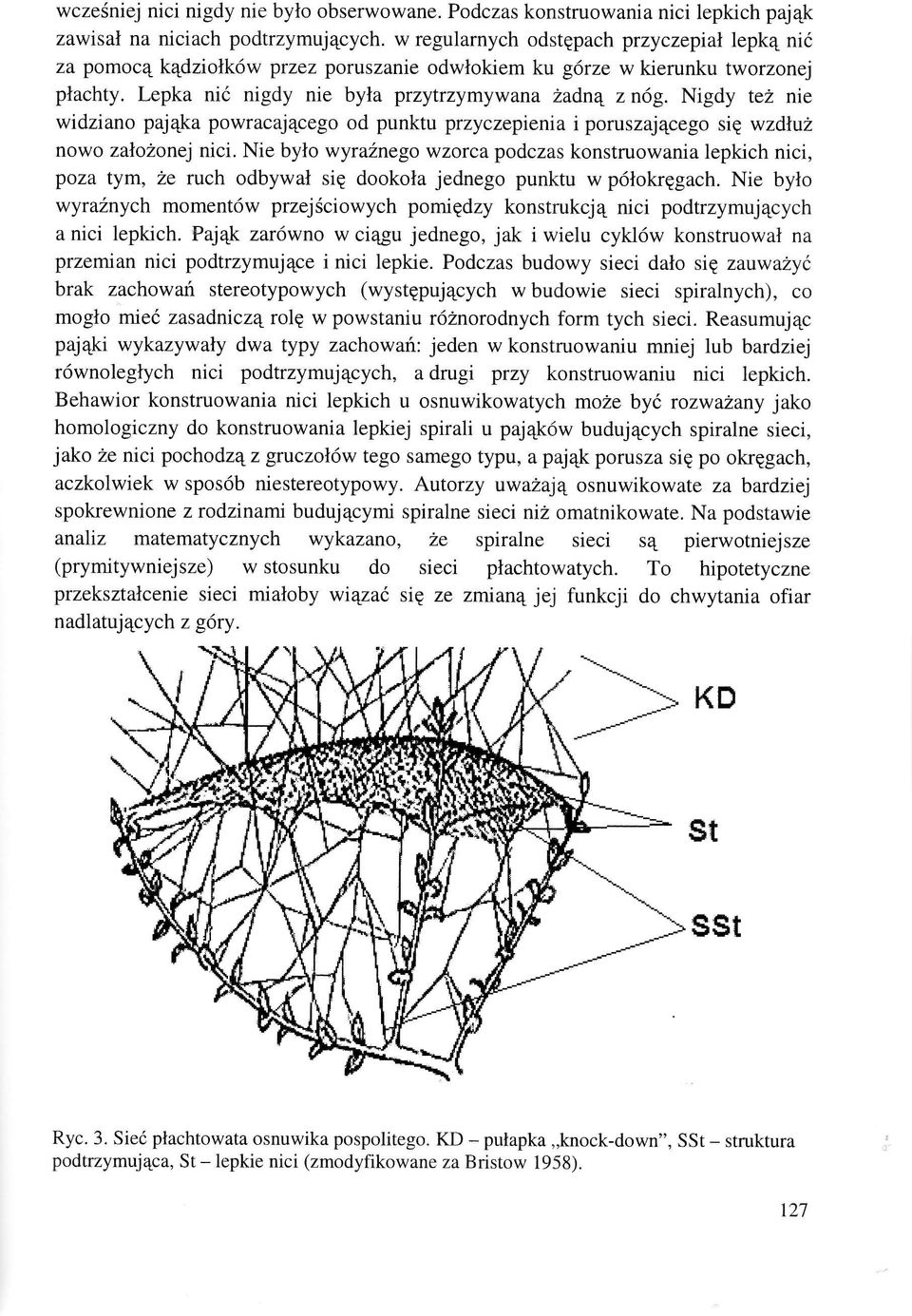 Nigdy tel nie widziano paj4ka powracaj4ceg od punktu przyczepienia i poruszajecego sig wzdl:u nowo zalozonej nici.