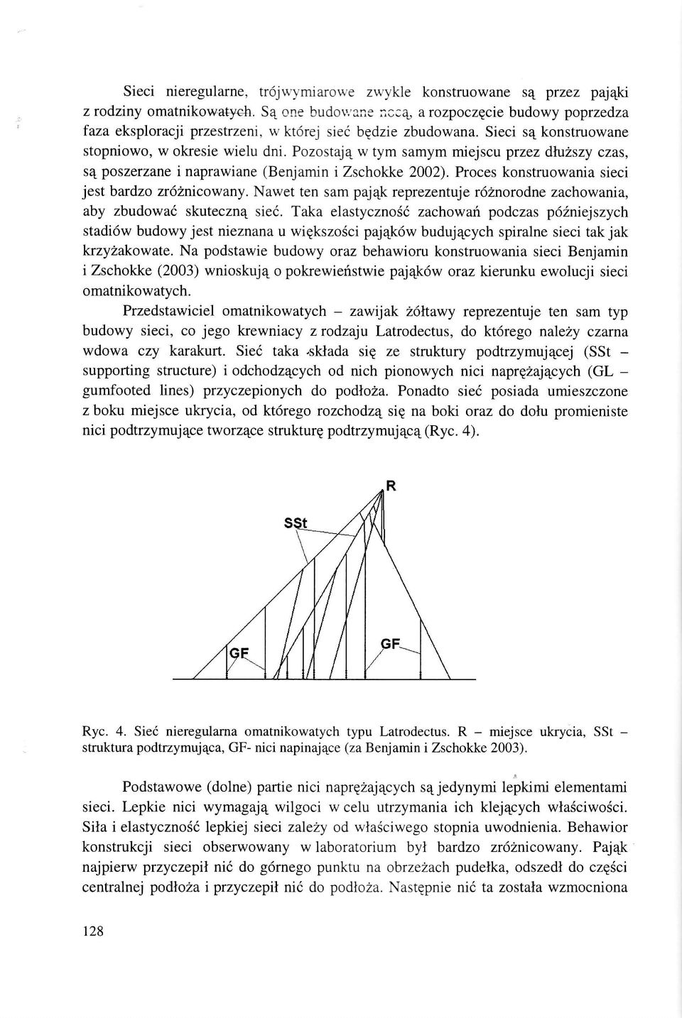 Pozostaj4 w tym samym miejscu przez dhtlszy czas, s4 poszerzane i naprawiane (Benjamin i Zschokke 2002). Proces konstruowania sieci jest bardzo zr62nicowany.