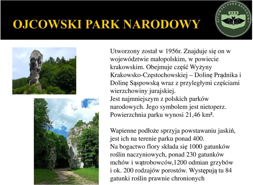 Jest najmniejszym z polskich parków narodowych. Jego symbolem jest nietoperz. Powierzchnia parku wynosi 21,46 km².