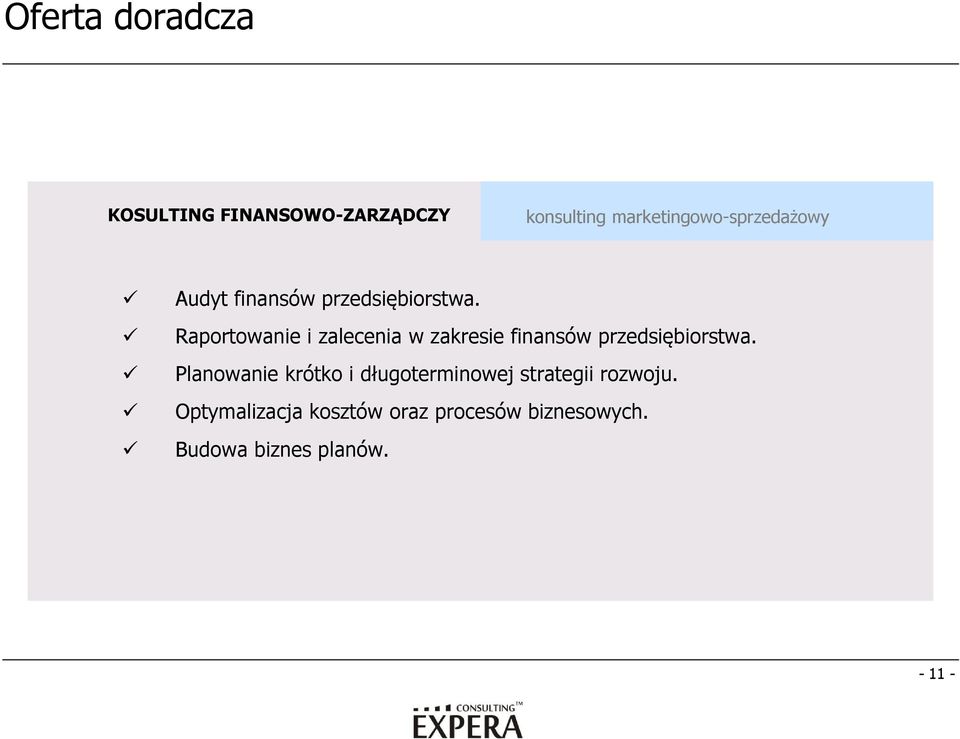 Raportowanie i zalecenia w zakresie finansów przedsiębiorstwa.