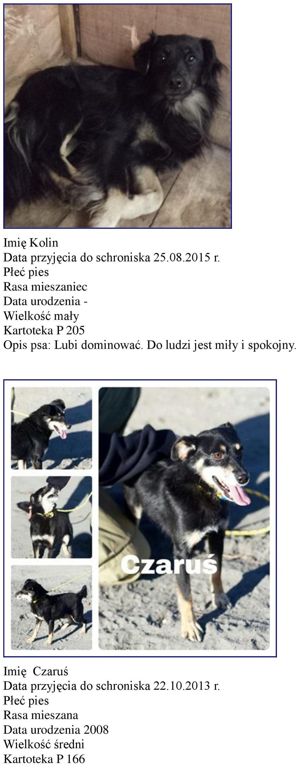 Do ludzi jest miły i spokojny.