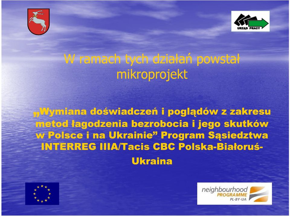bezrobocia i jego skutków w Polsce i na Ukrainie