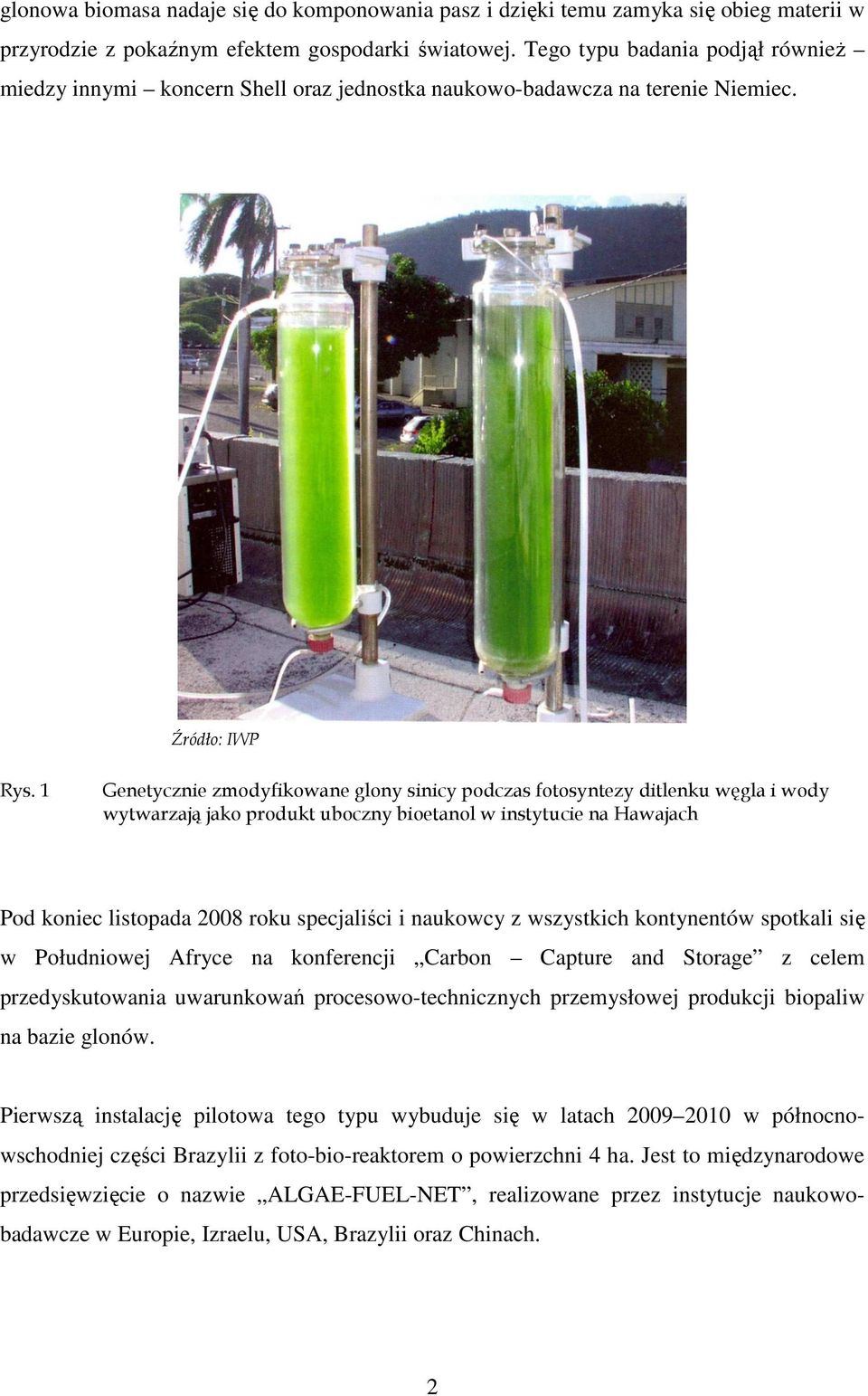 1 Genetycznie zmodyfikowane glony sinicy podczas fotosyntezy ditlenku węgla i wody wytwarzają jako produkt uboczny bioetanol w instytucie na Hawajach Pod koniec listopada 2008 roku specjaliści i