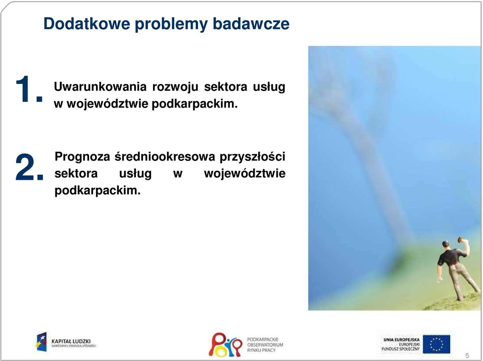 województwie podkarpackim. 2.