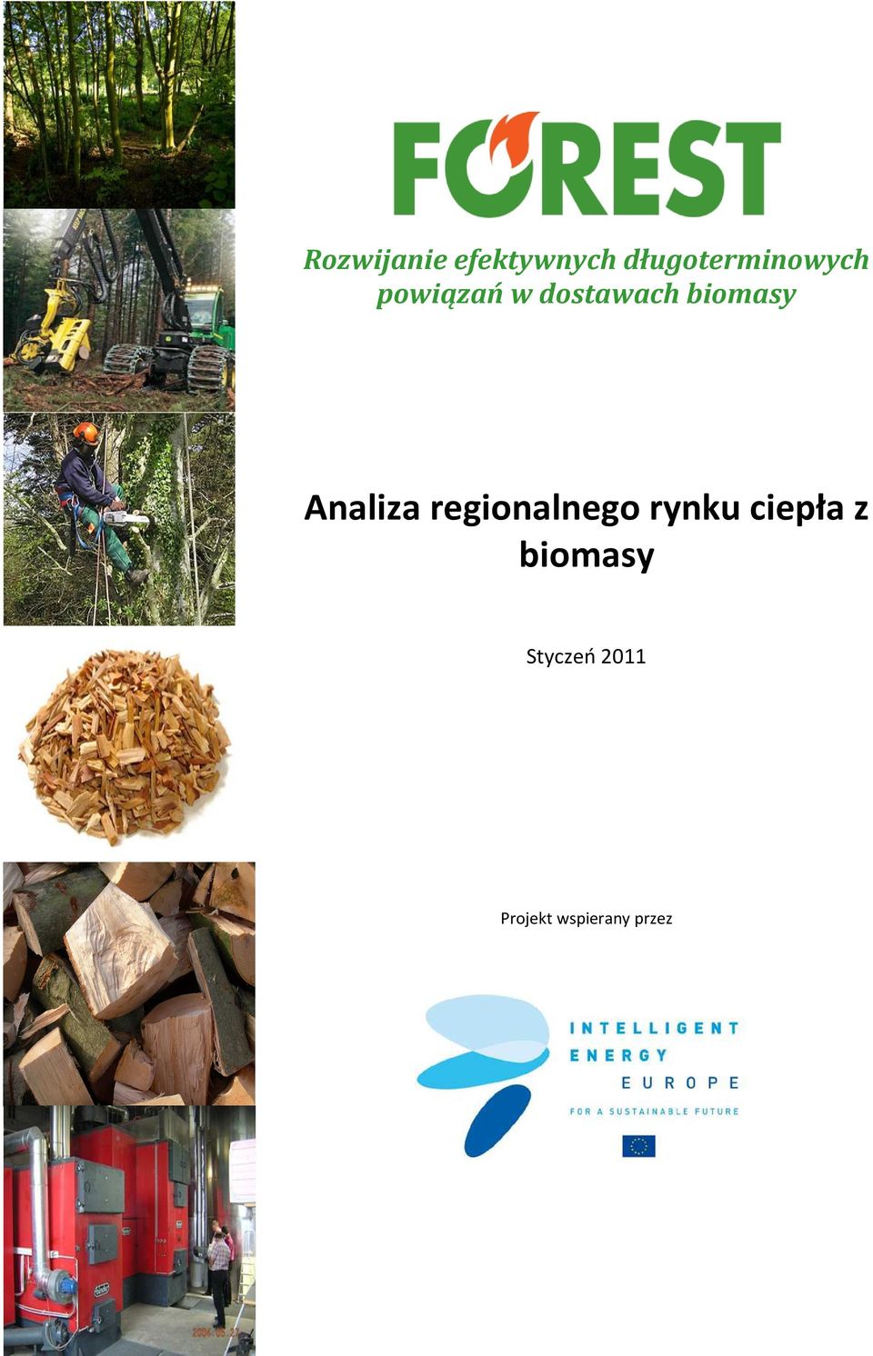 biomasy Analiza regionalnego rynku