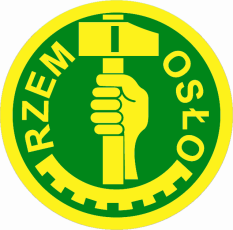 RZEMIEŚLNICZA ZASADNICZA SZKOŁA ZAWODOWA i m.