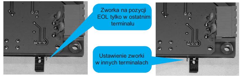 2. Zworka EOL powinna być założona na pozycji EOL tylko w ostatnim terminalu na linii. Rysunek 18 - Zworka EOL 6.