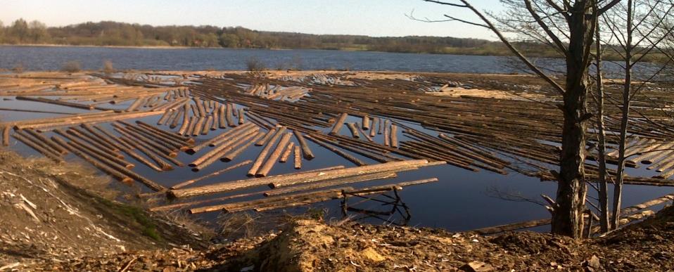 Składowanie surowca - plac i jezioro Surowiec drzewny dostarczany jest w postaci dłużyc. Układany jest w stosy. Każdy jest z jednego gatunku drewna.