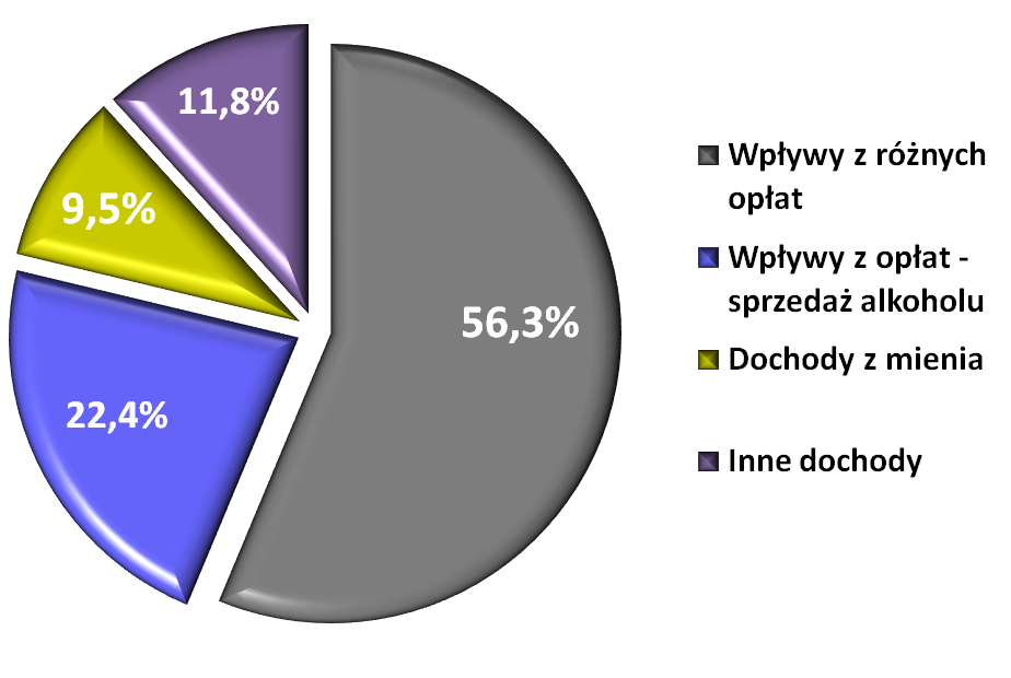Struktura dochodów na