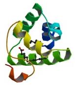 Cechy komponentów Rodziny białek Białka zapasowe Storage proteins Termostabilne specyficzne dla alergenu Wysokie ryzyko Białka transportujące lipidy