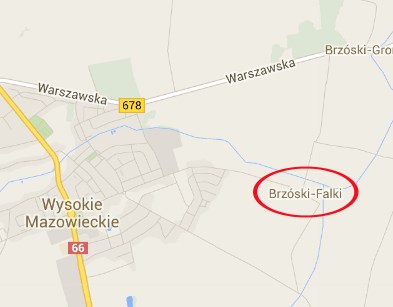 Sołectwo Brzóski - Falki położone jest na wschód od miasta Wysokie Mazowieckie, na południe od drogi wojewódzkiej nr 678 Wysokie Mazowiecki Białystok.