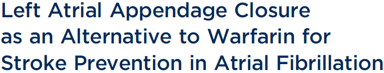 U pacjentów poddanych terapii systemem WATCHMAN w porównaniu z pacjentami poddanymi terapii warfaryną stwierdzono: mniejszą liczbę udarów krwotocznych (0.15 vs. 0.96 zdarzeń/100 osobolat; HR: 0.