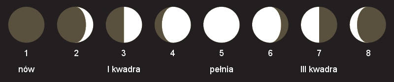 -2/1- Zadanie 8. W każdym z poniższych zdań wpisz lub podkreśl poprawną odpowiedź. XXXIX OLIMPIADA GEOGRAFICZNA Zawody III stopnia pisemne podejście 2 A.