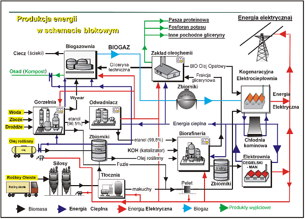 obiegu zamkniętym circular economy Brak