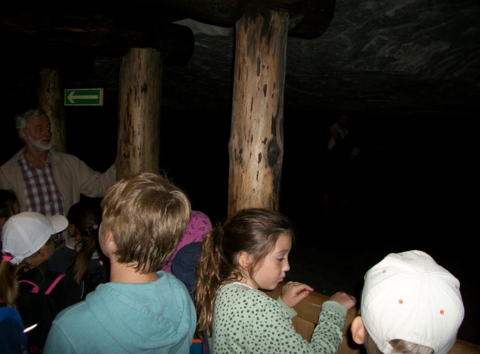 Groty składają się z licznych korytarzy, wnęk, zaułków i sal. Największe wyrobisko zwane "Salą Królewską" ma 30 m długości, 25 m szerokości i 3 m wysokości.