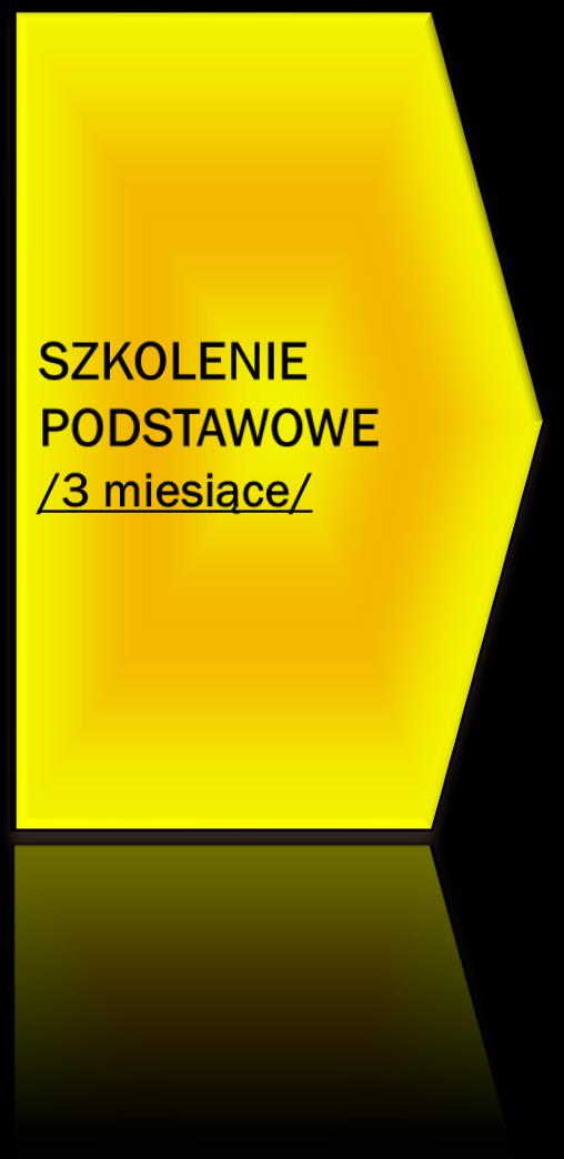 MODEL SZKOLENIA SŁUŻBY PRZYGOTOWAWCZEJ: S Z E R P D F