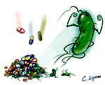 420A, e-mail: magdapop@biol.uw.edu.pl) dr Agata Krawczyk-Balska (p. 320A, e-mail: akra@biol.uw.edu.pl) dr Dorota Korsak (p.