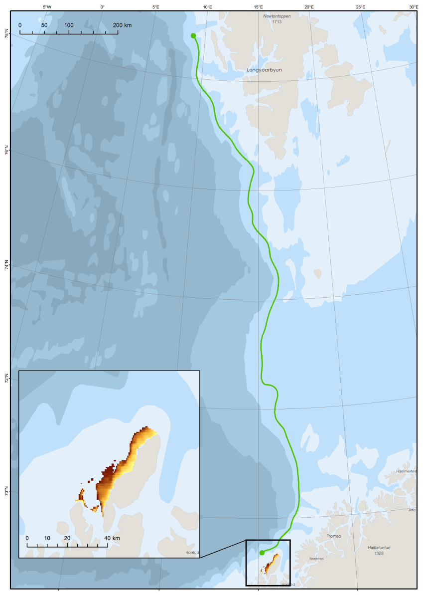 danych oceanograficznych: Przykład III 18 założenia wstępne: miejsce startu Andoya, do 50 m głębokości długość życia larwy w